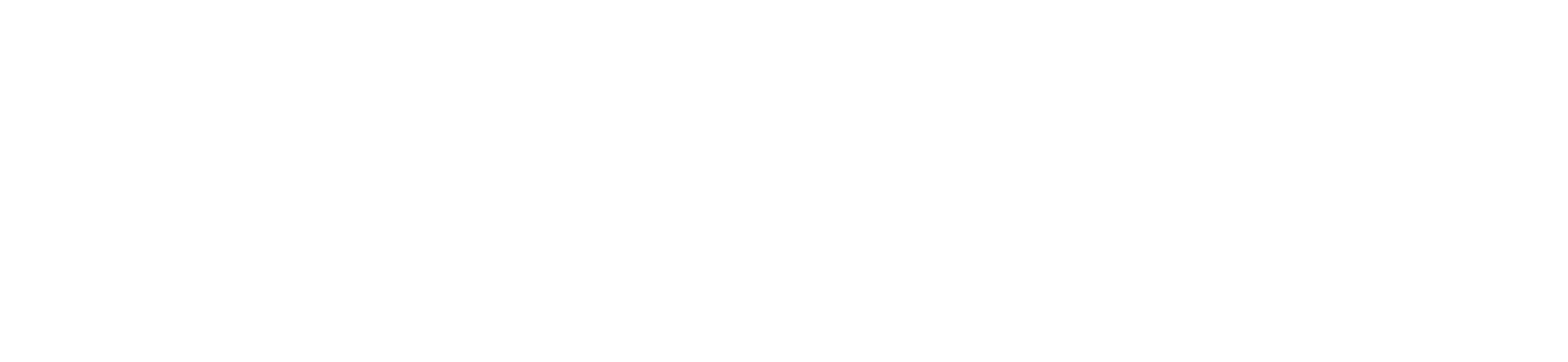 ServersPlus Logo